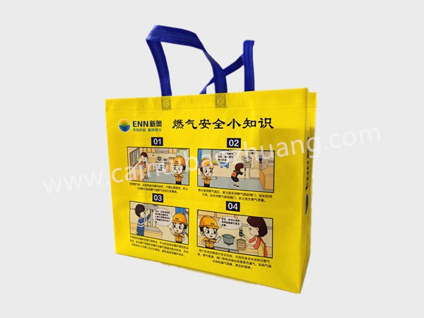 彩匯包裝 無(wú)紡布定制手提袋  企業(yè)宣傳用手提袋